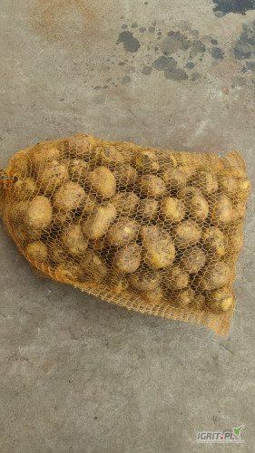 Witam . Na sprzedaż posiadam ładnego ziemniaka Denar . Kopany pod zamówienie . Numer kontaktowy 693-406-105