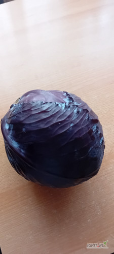 Sprzedam około 20 ton młodej kapusty czerwonej. Główki od 1,5 do 2,5kg.