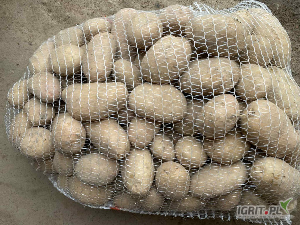 Sprzedam ziemniaki odmiana irga 5+