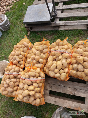 Sprzedam ziemniaki odmiany Soraya pakowane w 15kg. Ukopie na świeżo pod zamówienie. 