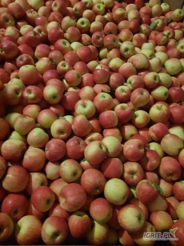 Sprzedam 1.5 tony Sandera od 6 do 7.5.  