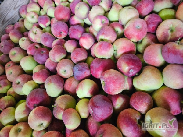 Sprzedam (naszykuje w dowolne opakowanie )