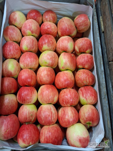 Kupię jablko sander w skrzyni za wage 