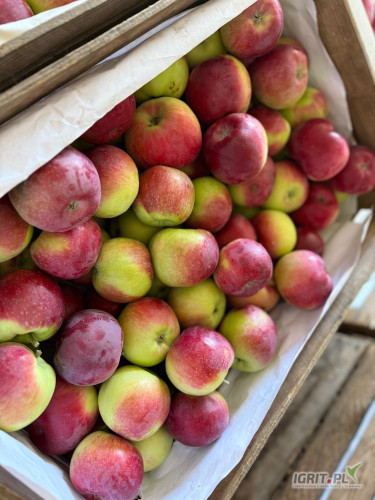 Sprzedam Jablko - Paulared, naszykowany w klatce. Rozmiar 6,7+ Cena do uzgodnienia. 