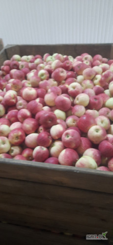 Sprzedam PIROSA 50 skrzyń z chłodni 