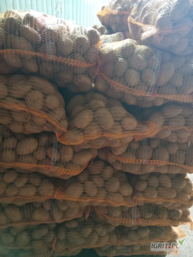 Sprzedam ziemniaki soraja cena 7 zł 15. kg.