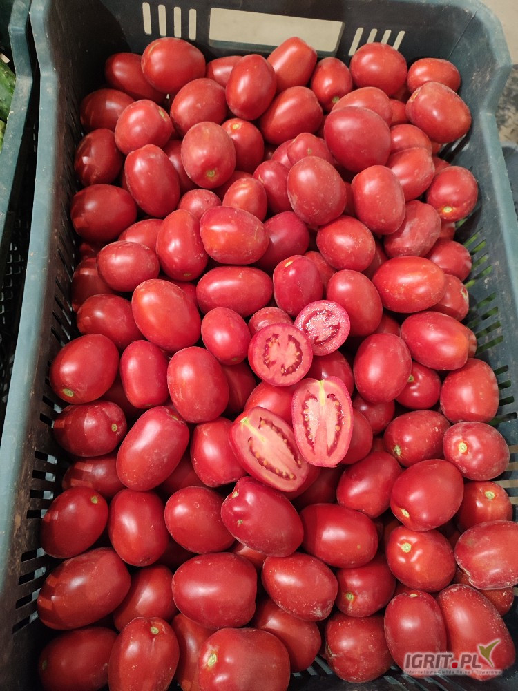 Sprzedam pomidora gruntowego odm .Pietrarossa , możliwość rwania ręcznego ,ilości samochodowe