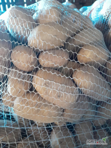 Sprzedam ziemniaki z własnego gospodarstwa odmianę białą Irys. Ziemniaki bardzo ładne duże czyste nie pognite bez parcha, kaliber 55...