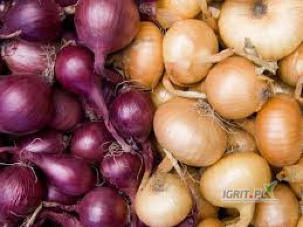 sprzedam cebulę czerwoną i bialą z możliwością dostawy lub z odbiorem własnym jeżeli duże ilości . Zapraszam po szczegóły po...