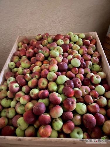 Sprzedam Lobo 32 skrzynie 