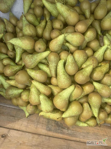 Sprzedam konferencję za wagę w skrzyni. Około 30-35t rwana od 5.5 mały % owoców 5.5-6.