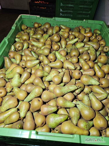 Sprzedam 14 skrzyń Konferencji 6,5+