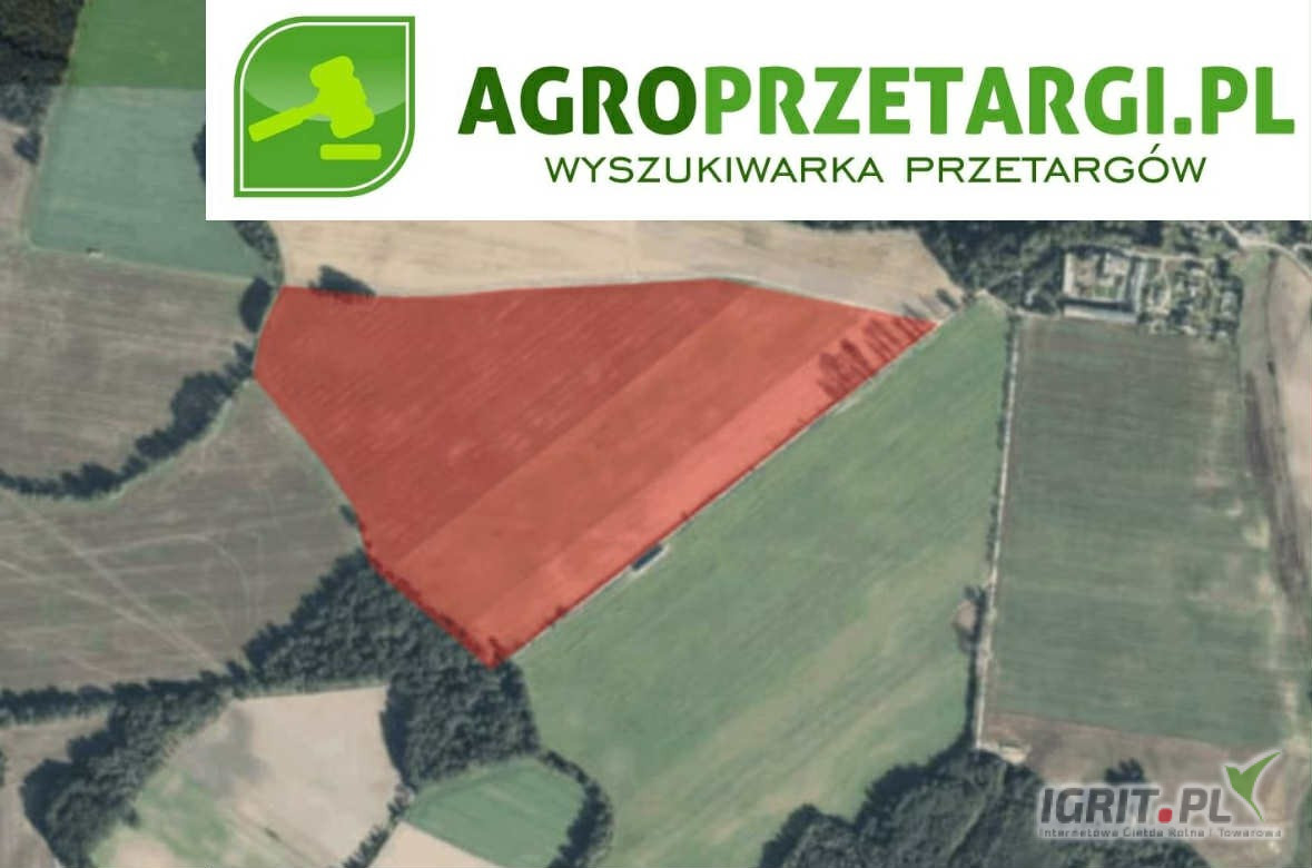 Licytacja na sprzedaż 39,22 ha gruntu rolnego – RIVb, RIIIb, N, RIVa, RV
