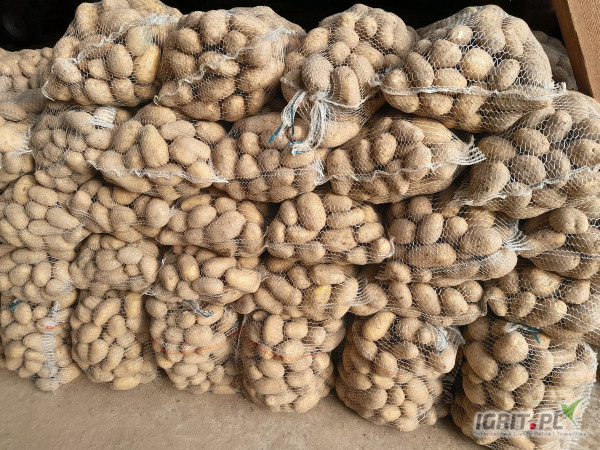 Sprzedam ziemniaki białe odmianę Catania ilości tirowe. Ziemniaki ładne duże czyste nie pognite możliwość wykonania badań fito z...