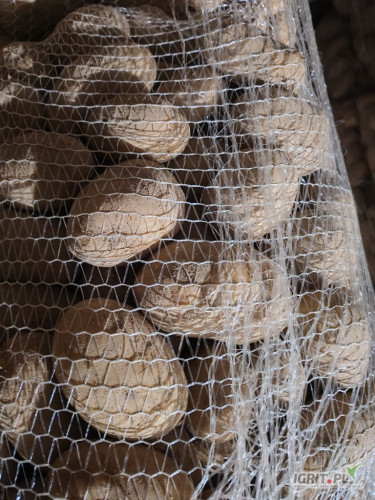 Sprzedam ziemniaki odmianę Catania 800 worków, ziemniaki ważone po 15 kg cena za taki worek 7 zł. Ziemniaki z jasnej lekkiej gleby...