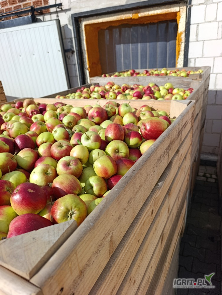 Sprzedam ligola na soki , przeciery itd Warka