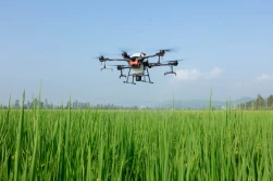 Czy i jak stosować drony w rolnictwie?