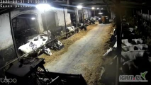 Sprzedam stado bydła mlecznego 240szt w tym 106szt krów dojnych wydajność stada ponad 11tys