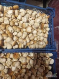 Nawiąże wspóprace z odbiorcami grzybów borowik kolczak na obecnom chwilę to jest dostępne ilosci paletowe cena do ustalenia tel 