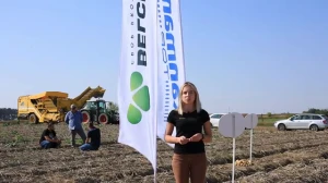 Ochrona ziemniaka w technologii Belchim Crop Protection