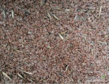 We offer brown flaxseed for bird or animal feed, 16 tons