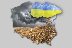 RMF24: w ubiegłym roku import pszenicy z Ukrainy do Polski wzrósł o ponad 16 000 procent