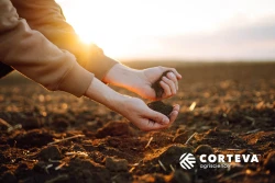 Corteva Agriscience wprowadza przełomowe rozwiązanie do ochrony upraw przed nicieniami