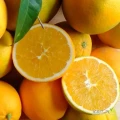 Pomarańcze Navelina pakowane w kartony po 15kg (60-80szt) rozmiar 4-5, produkt ze świeżej dostawy, kraj pochodzenia TURCJA. 