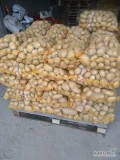 Sprzedam ziemniaki jadalne 400 worków 15 kg kaliber 4.5 jasne 