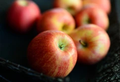 Dlaczego cena jabłek na Ukrainie podwoiła się? Które odmiany zyskały najwięcej?