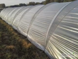 Oferuję kompleks tuneli foliowych do uprawy truskawki po zakończeniu działalności gospodarstwa ogrodniczego w Holandii.