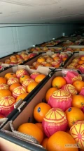 Sprzedam słodkie pomarańcze Navel, I klasa w kartonach po 15kg netto, kaliber 1,2,3,4, rozmiary 40, 48, 54, 65, w atrakcyjnej cenie. Towar...