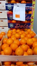 Spr,edam towar 2 klasy pomidor malinowy ogorek dlugi pomarancz mandarynke wiecej info pod num tel