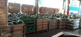 Witam sprzedam arbuz pochodzenia Węgry ilość hurtowe zakup co najmniej 1 t przy większej ilości cena do uzgodnienia