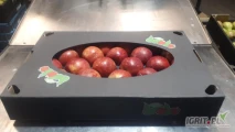 Kupię karton na jabłka na 7/8 kg  400*600 mm , 1 warstwa z przykrywką. Jak na zdjęciu poniżej lub podobny.