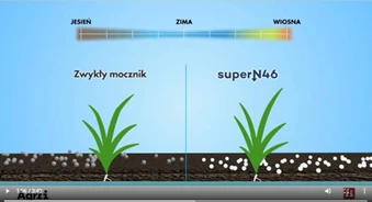 Jak zapobiegać stratom azotu w glebie?