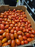 Pomidorki daktylowe