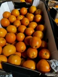 SPRZEDAM pomarańcze 2 klasy, rodzaj Navel. Kraj pochodzenia: Egipt. Oferujemy paletowe ilości, zapakowane w kartony po 14 kg. Doskonała...