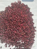 Czerwona fasola z Etiopii