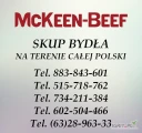 Firma MC KEEN BEEF zajmuje się zakupem bydła rzeźnego (byk, krowa, jałówka)
