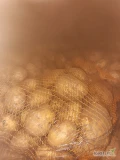 Ziemniaki riwiera worek szyty na  palecie  kaliber+5  duża ilość 