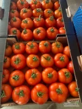 Witam sprzedamy 8palet pomidora Turcja

