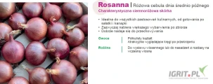 RED HERALD F1, ROSANNA (j. 100 000n) nasiona cebuli czerwonej firmy SAKATA oferuje GEPWEG dystrybutor nasion. Dostawa gratis. Płatność...