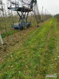 Wynajmę platformę sadowniczą firmy Ditta Seria do cięcia drzewek owocowych. Wysokość podnoszenia 2,85m. Szerokość 1,70m, długość...