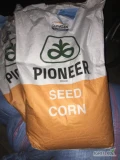 Sprzedam nasiona kukurydzy pionier pozostałe z siewu z tego roku około 80000 nasion (1,5 jednostki ) w razie pytań proszę o kontakt 