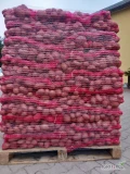 Sprzedam ziemniaki  BIAŁE ŻÓŁTE I CZERWONE . Pakowane 5-10 -15 kg. Ilości busowe i torowe. Zapraszam do współpracy.  