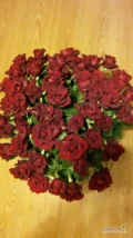 Czerwone roze ciete wysokosc 45cm cena 5zl. za sztuke. 