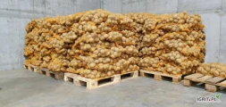 Ziemniaki Worek 15 kg.Odmiana Satina, Conect.Typ kulinarny BZółte