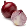 Organic fresh onion, Feature for sale