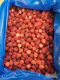 Poszukujemy mrożonych truskawek kalibrowanych 2,5-3,5 cm. I klass Duże ilości 